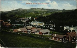 1911 Krynica, Krynica-Zdrój; Widok ogólny od poludnia / general view (EB)