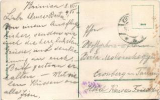 1911 Krynica, Krynica-Zdrój; Widok ogólny od poludnia / general view (EB)