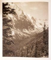 V. J. Stanek: Der Geheimnisvolle Wald. [A titokzatos erdő.] Prága, 1954, Artia. Fekete-fehér fotókka...