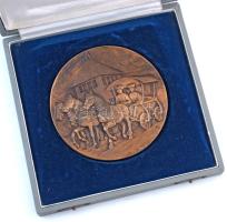 Renner Kálmán (1927-1994) 1978. "X. Hortobágyi Nemzetközi Lovasnapok" kétoldalas, öntött b...