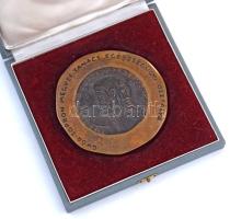 Renner Kálmán (1927-1994) DN "Dr. Petz Aladár 1888-1956 / Győr-Sopron Megyei Tanács Egészségügy...