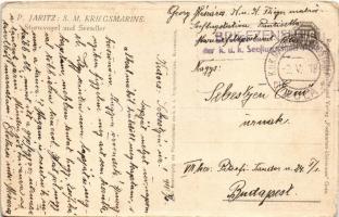 1918 Sturmvogel und Seeadler. S.M. (K.u.k) Kriegsmarine / Austro-Hungarian navy postacard, seaplane,...