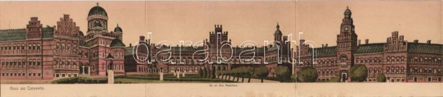 Chernivtsi Royal Residence panoramacard