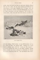 Nansen, Fridtjof: In Nacht und Eis. Die Norwegische Polarexpedition 1893-1896. Mit einem Beitrag von...