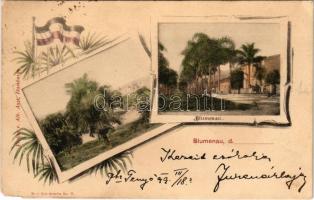 1899 Blumenau, Alb. Aust. / street views, flag. Art Nouveau, floral (EM)