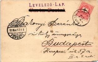 1899 Blumenau, Alb. Aust. / street views, flag. Art Nouveau, floral (EM)