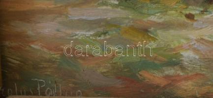 Pállya Carolus (1875-1930): Vásári jelenet. Olaj, karton, jelzett, 11x16 cm Dekoratív keretben