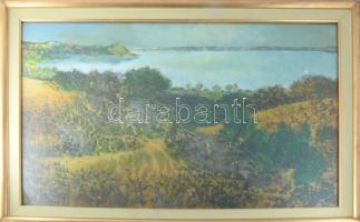 Dallos Ferenc (1928-2001): Folyópart. Olaj, farost, jelezve jobbra lent. Hátoldalán Képcsarnok Vállalat címkéivel Dekoratív üvegezett keretben 60x90 cm