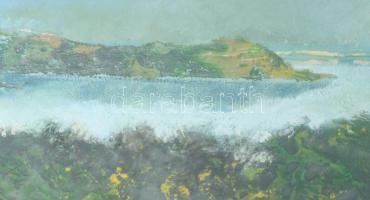 Dallos Ferenc (1928-2001): Folyópart. Olaj, farost, jelezve jobbra lent. Hátoldalán Képcsarnok Válla...