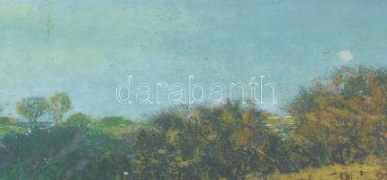 Dallos Ferenc (1928-2001): Folyópart. Olaj, farost, jelezve jobbra lent. Hátoldalán Képcsarnok Válla...