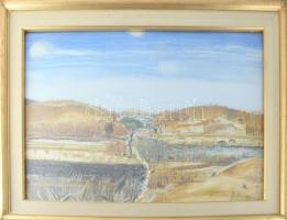 Sugár Gyula (1924-1991): Táj, 1969. Olaj, farost, jelzett. Hátoldalán Képcsarnok Vállalat címkéjével. Üvegezett fakeretben, 45x60 cm