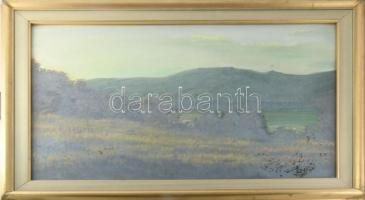 Szabó Lajos (1927-1995): Dunántúli táj. Olaj, farost, jelzett. Hátoldalán Képcsarnok Vállalat címkéjével. Üvegezett fakeretben, 50x65 cm