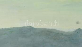 Szabó Lajos (1927-1995): Dunántúli táj. Olaj, farost, jelzett. Hátoldalán Képcsarnok Vállalat címkéj...