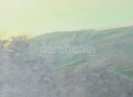 Szabó Lajos (1927-1995): Dunántúli táj. Olaj, farost, jelzett. Hátoldalán Képcsarnok Vállalat címkéj...