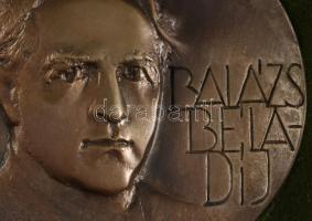 2000 Ágh Fábián Sándor (1954-). Balázs Béla-díj. Bronz plakett, adományozó díszdobozban, d:8cm
