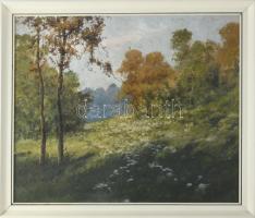 Sz. .. jelzéssel: Virágos mező. Olaj, vászon 50x65 cm Keretben