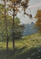 Sz. .. jelzéssel: Virágos mező. Olaj, vászon 50x65 cm Keretben