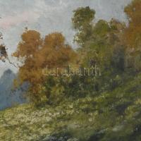 Sz. .. jelzéssel: Virágos mező. Olaj, vászon 50x65 cm Keretben