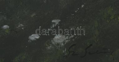 Sz. .. jelzéssel: Virágos mező. Olaj, vászon 50x65 cm Keretben