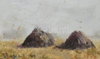Olvashatatlan jelzéssel: Szénaboglyák. Akril, vászon, dekoratív keretben 18x22 cm