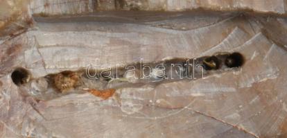 2 darab faragott zsírkő figura, m: 11 cm alatt