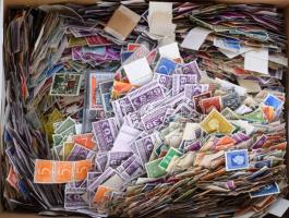 Sok ezer darab holland bélyeg cipősdobozban