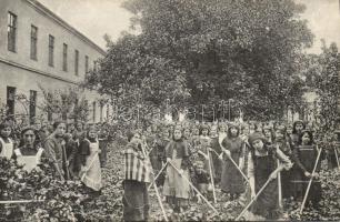 Temesvár Józsefváros Nunnery school garden