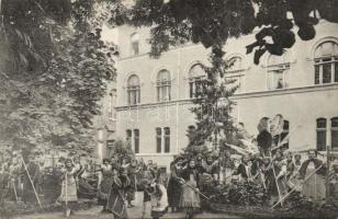 Temesvár Józsefváros Nunnery school garden
