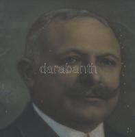 Bátfay: Alföldi Sándor portréja. Olaj, karton, üvegezett keretben, hátoldalt feliratozva 30x24 cm Sé...