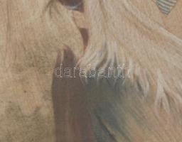 Subkégel Gyula (1907-?): Női portré. Akvarell, selyem. Jelzett. 27x20 cm. Üvegezett, dekoratív faker...