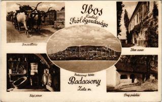 Badacsony, Ibos család szőlőgazdasága, borszállítás ökrös szekéren, Ibos kúria, régi pince, öreg présház, látkép. reklám (EK)
