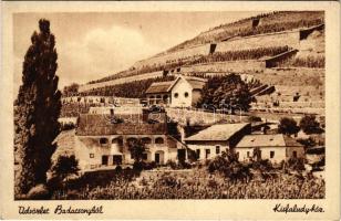 Badacsony, Kisfaludy-ház