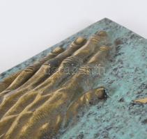 Antikolt bronz falidísz, 16x14 cm