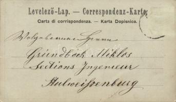 1890!!! Fiume theater (very early postcard)