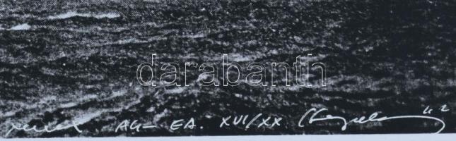 Hegedűs 2 László (1950-): 1 két H. Xerox, papír, jelzett és sorszámozott a hátoldalon. 20x30 cm