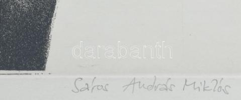 Sáros András Miklós (1945-): A ,ezőgazdaság szocialista átszervezése. Rézkarc, papír, jelzett, 30x40...