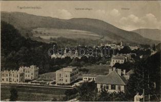 1910 Trencsénteplic, Trencianske Teplice; nyaralók völgye. Wertheim Zsigmond kiadása / Villental / villas