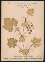 Virágok Ráhel sírjáról, hiányos, 14×10 cm