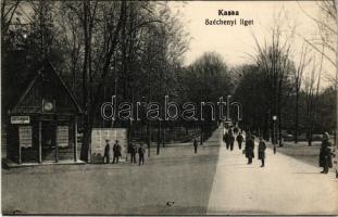 1915 Kassa, Kosice; Széchenyi liget, Ligeti Mozgó (mozi). Varga Bertalan kiadása / park, cinema