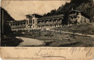 Slanic-Moldova, Baile Slanic, Szlanikfürdő (Bacau); Otelul Cerbu / hotel (Rb)