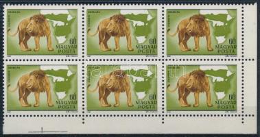 1981 Kittenberger Kálmán 60f ívsarki hatostömb "PCSTA" tévnyomattal (10.000+)