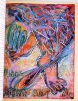 Swierkiewicz Róbert által illusztrált és DEDIKÁLT könyv, valamint 2 db kiállítási katalógusa:

Swi...