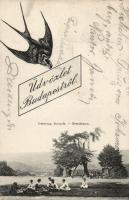 Budapest XII. Istenhegy, Normafa (EK)