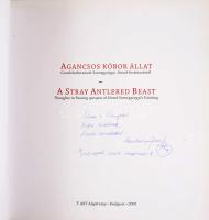 Szengyörgyi József: Agancsos kóbor állat. Gondolatfutamok Szentgyörgyi József festészetéről. A művés...