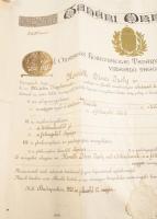 1920 Tanítói oklevél Riedl Frigyes,(1856-1921) irodalomtudó aláírásával Hajtva