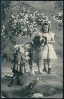 1910 Képeslap "BRÓD-BUDAPEST / 161 B" mozgóposta bélyegzéssel