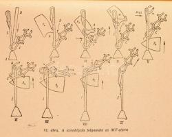 I. A. Lipkov: Kötő-hurkolóipari technológia. Ford.: Pokorny Hermann. Bp., 1952, Könnyűipari Kiadó, 4...