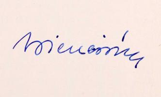 A magyarországi művészet története I: A magyarországi művészet a honfoglalástól a XIX. századig. Sze...