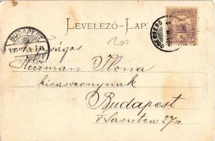 1900 Körmöcbánya, Kremnitz, Kremnica; Vártemplom. Stengel &amp; Co. 14010, Myskovszki Viktor kia...