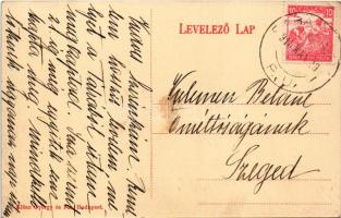 1918 Babapuszta, Aleksa Santic (Zombor); Fernbach kastély. Klösz György és Fia kiadása / castle